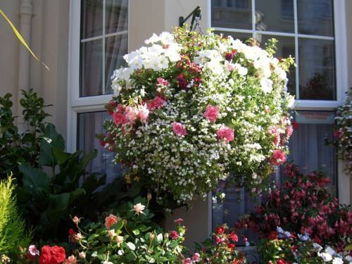 Loriston Guest House WTA WTA Eastbourne Exterior foto